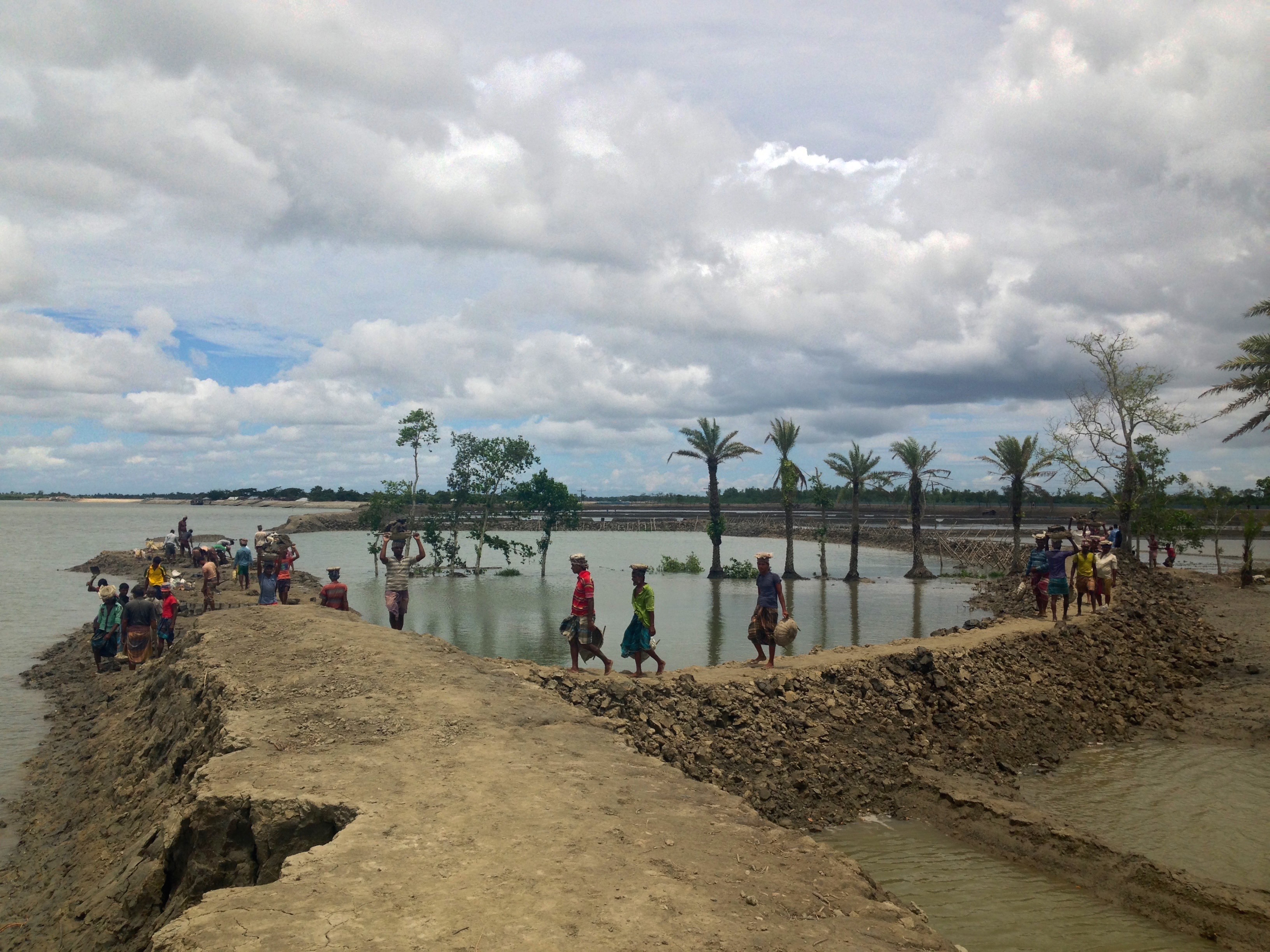 Figure 7. Embankment reconstruction at another river’s edge: Residents living adjacent to the Kapotokko River experienced similar flooding problems as those in Jhumkinodi a few months earlier. The breached polder wall can be seen on the far left side of the image. The new embankment takes a semicircular shape as the reconstruction workers use the soil and drier clay from the ruptured embankment to rebuild the retaining wall. Figure 7. Embankment reconstruction at another river’s edge: Residents living adjacent to the Kapotokko River experienced similar flooding problems as those in Jhumkinodi a few months earlier. The breached polder wall can be seen on the far left side of the image. The new embankment takes a semicircular shape as the reconstruction workers use the soil and drier clay from the ruptured embankment to rebuild the retaining wall.