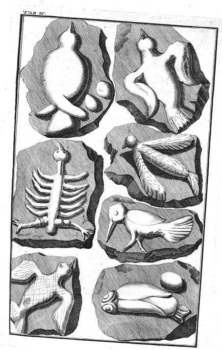 Fig. 03 Fraudulent fossils from Johann Bartholomew Adam Beringer’s Lithographiae Wirceburgensis (1726). Fig. 03 Fraudulent fossils from Johann Bartholomew Adam Beringer’s Lithographiae Wirceburgensis (1726).