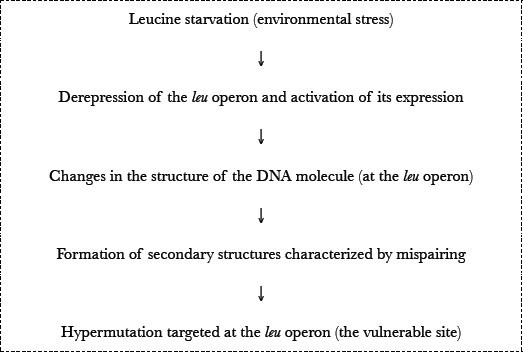 Whats the chance of every mutation?