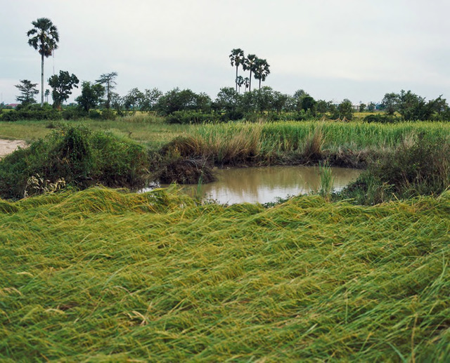 Vandy Rattana, ‘Kandal I’, The Bomb Ponds series, 2009. Digital C-Print, 90 x 105 cm. Courtesy the artist and SA SA BASSAC. Vandy Rattana, ‘Kandal I’, The Bomb Ponds series, 2009. Digital C-Print, 90 x 105 cm. Courtesy the artist and SA SA BASSAC.