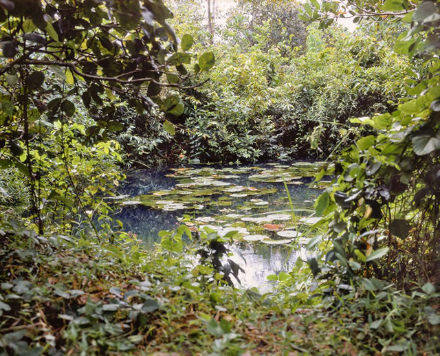 Vandy Rattana, ‘Kompong Cham’, The Bomb Ponds series, 2009. Digital C-Print, 90 x 105 cm. Courtesy the artist and SA SA BASSAC. Vandy Rattana, ‘Kompong Cham’, The Bomb Ponds series, 2009. Digital C-Print, 90 x 105 cm. Courtesy the artist and SA SA BASSAC.