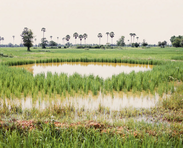 Vandy Rattana, ‘Takeo’, The Bomb Ponds series, 2009. Digital C-Print, 90 x 105 cm. Courtesy the artist and SA SA BASSAC. Vandy Rattana, ‘Takeo’, The Bomb Ponds series, 2009. Digital C-Print, 90 x 105 cm. Courtesy the artist and SA SA BASSAC.