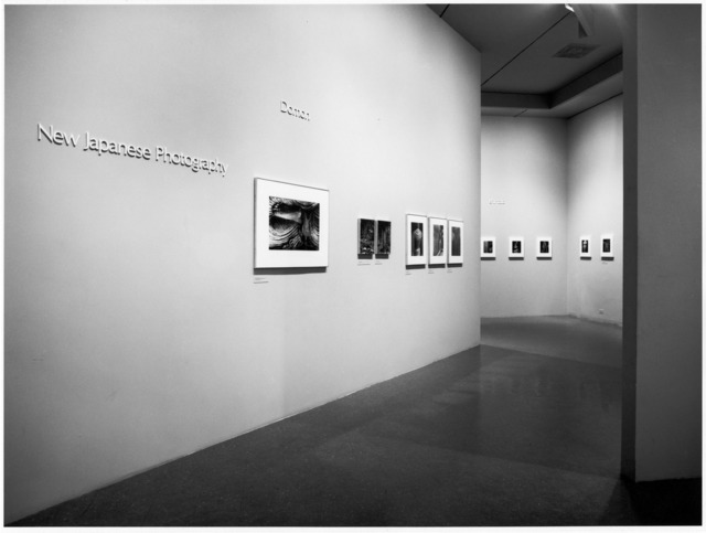 Fig. 1: Installation view of the exhibition ‘New Japanese Photography’. MoMA, New York, March 27, 1974 through May 19, 1974. New York, Museum of Modern Art (MoMA). Photographer: Katherine Keller. Digital Image © 2013, The Museum of Modern Art, New York/Photo SCALA, Florence. 