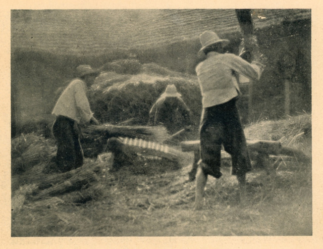 Fig. 19: Hu Boxiang 胡伯翔, Threshing Wheat 打麥, ca. 1936. Gelatin silver print. From Zhonghua sheying zazhi (The Chinese Journal of Photography), no. 11 (June, 1936). 