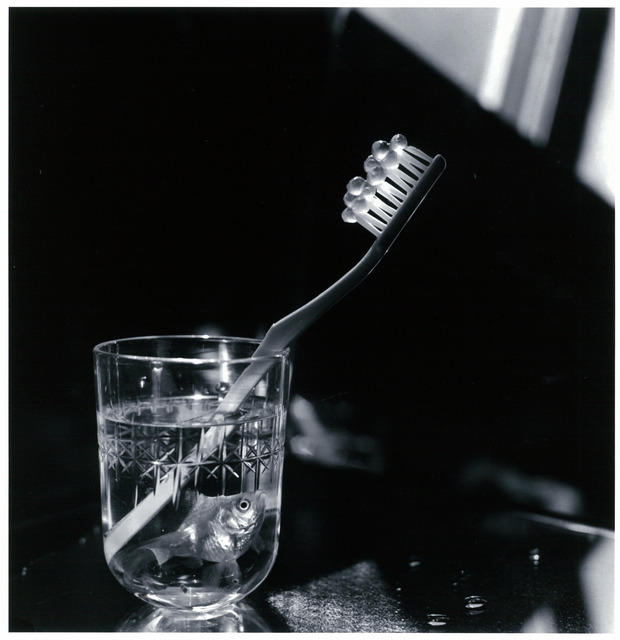 Fig. 1. Kon Michiko, Goldfish, Salmon Roe, and Toothbrush, 1985, © Kon Michiko, courtesy Photography Gallery International, Tokyo. Fig. 1. Kon Michiko, Goldfish, Salmon Roe, and Toothbrush, 1985, © Kon Michiko, courtesy Photography Gallery International, Tokyo.