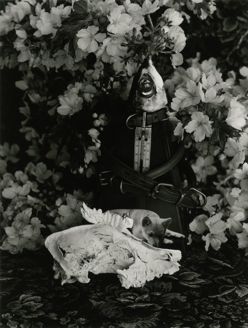 Fig. 7. Kon Michiko, Metronome and "Hachi", 2013, © Kon Michiko, courtesy Photography Gallery International, Tokyo. Fig. 7. Kon Michiko, Metronome and "Hachi", 2013, © Kon Michiko, courtesy Photography Gallery International, Tokyo.