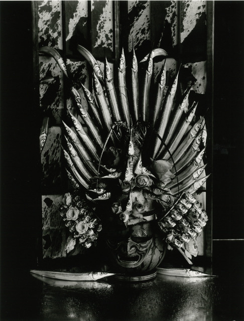 Fig. 8. Kon Michiko, Halfbeak Kabuto, 2013, © Kon Michiko, courtesy Photography Gallery International, Tokyo. Fig. 8. Kon Michiko, Halfbeak Kabuto, 2013, © Kon Michiko, courtesy Photography Gallery International, Tokyo.