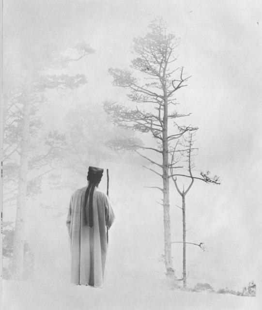 Fig. 7. Lang Jingshan, Qinchen ru yunwu (Entering the Mist in Morning), composite photograph reproduced in Badeyuan shejing. 