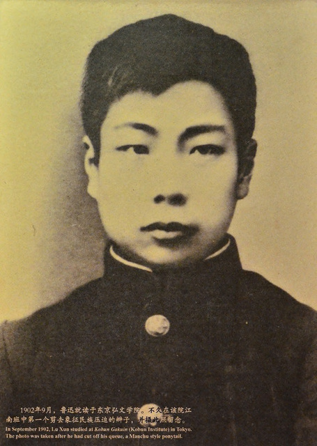 Fig. 1. Photographer unknown, Lu Xun after cutting off his queue, 1903. Shanghai Lu Xun Museum, photo by Yichun Xu.