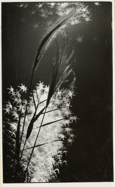 Fig. 23. Zhang Lan’s The Soul of Autumn (fig. 23) was first published in the second issue of Today magazine; in the fourth issue, in 1979, an article reviewed this photo (fig. 24). Courtesy of Cheng Xin. Fig. 23. Zhang Lan’s The Soul of Autumn (fig. 23) was first published in the second issue of Today magazine; in the fourth issue, in 1979, an article reviewed this photo (fig. 24). Courtesy of Cheng Xin.