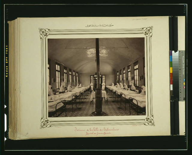 Fig. 8. Abdullah Frères, Tuberculosis ward of the Hasköy Hospital for Women, albumen print c.1880-1893, LOT 9534, no. 7, Library of Congress, Prints and Photographs Division, Washington, D.C. Fig. 8. Abdullah Frères, Tuberculosis ward of the Hasköy Hospital for Women, albumen print c.1880-1893, LOT 9534, no. 7, Library of Congress, Prints and Photographs Division, Washington, D.C.