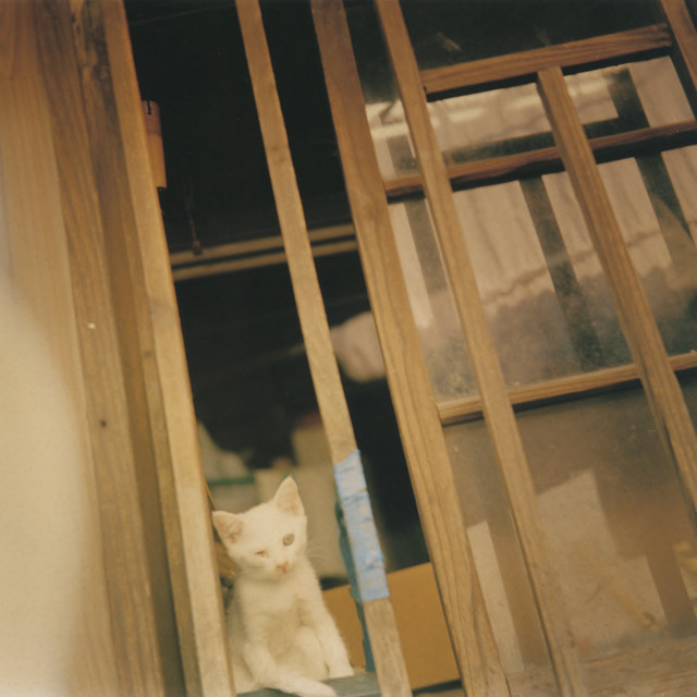 Fig. 2. Hara, Mikiko, Untitled, from the Is As It series, 1996, Image 1 from the book Hysteric Thirteen, 2005, © Mikiko Hara, courtesy of Osiris, Tokyo. Fig. 2. Hara, Mikiko, Untitled, from the Is As It series, 1996, Image 1 from the book Hysteric Thirteen, 2005, © Mikiko Hara, courtesy of Osiris, Tokyo.