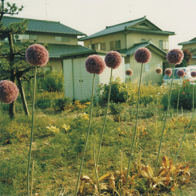 Fig. 8. Hara, Mikiko Untitled, from the Procedures of Manufacturing a Void series, 2001, Image 26 from the book Hysteric Thirteen, 2005, © Mikiko Hara, courtesy of Osiris, Tokyo. Fig. 8. Hara, Mikiko Untitled, from the Procedures of Manufacturing a Void series, 2001, Image 26 from the book Hysteric Thirteen, 2005, © Mikiko Hara, courtesy of Osiris, Tokyo.