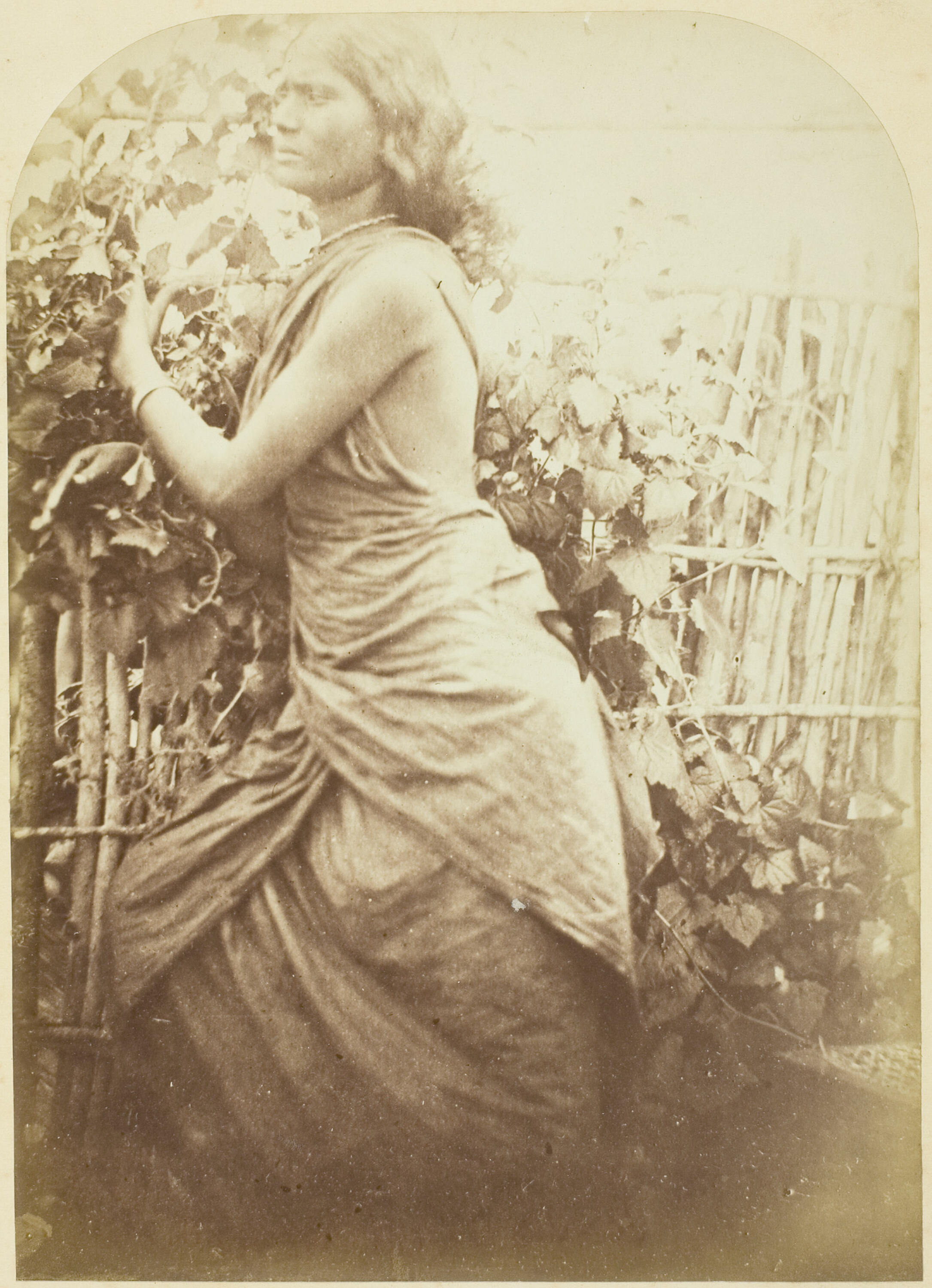 Figure 3: Julia Margaret Cameron, Woman, Ceylon, ca. 1875-1879. The Art Institute of Chicago (1970.844).