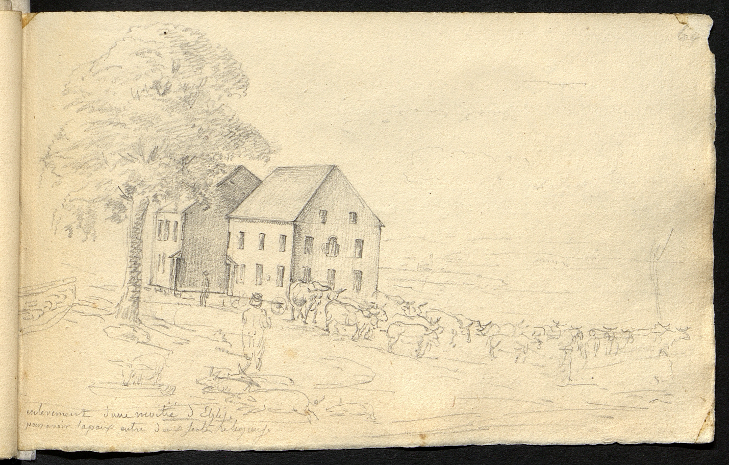 Figure 4. Removal of half of a church to have peace between two religious sects. Le Havre (France), Muséum d’histoire naturelle. Figure 4. Removal of half of a church to have peace between two religious sects. Le Havre (France), Muséum d’histoire naturelle.